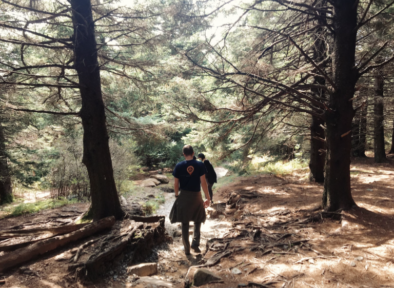 Pisgah forest hikes like Black Balsam knob trail are popular trails for families